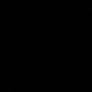 Meet your Posher, Ray